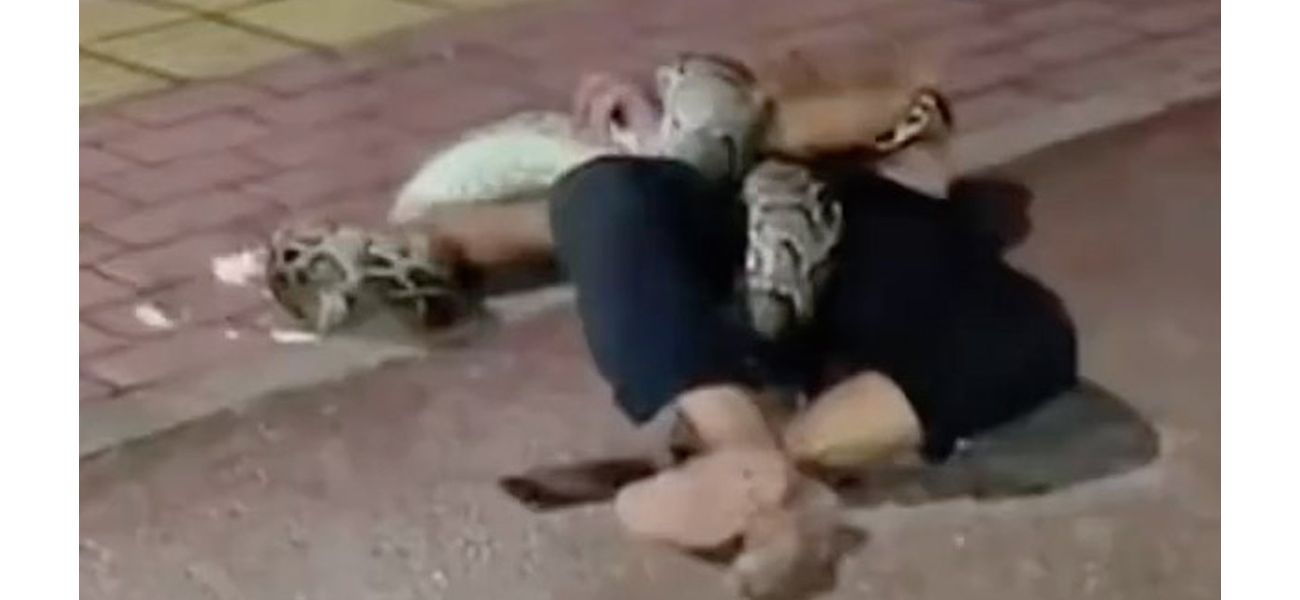 A man inebriated ends up fighting with a python and needs help from firefighters to get out of the situation.