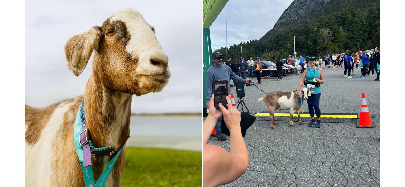 A goat unexpectedly joins a marathon and ends up winning a medal.