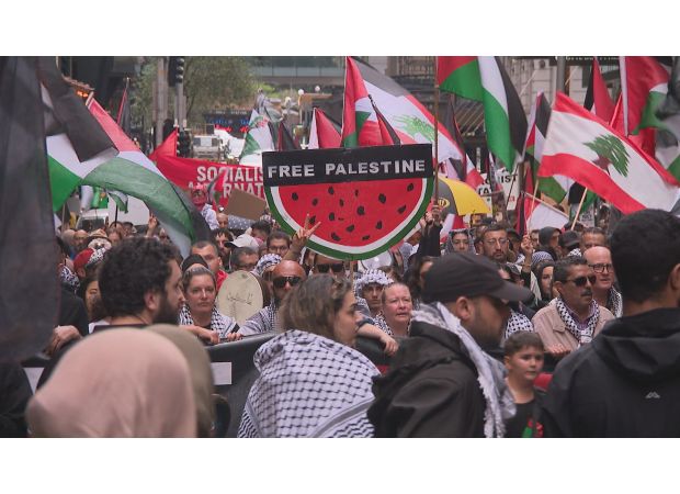 PM cautions against attending pro-Palestine protests on October 7 due to their provocative nature.