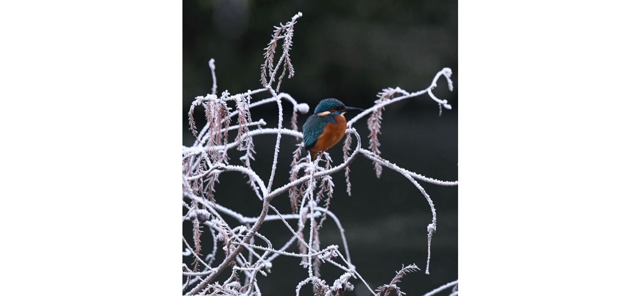 Join Rosanna Forbes as she explores the untamed beauty of Scotland through her camera lens.