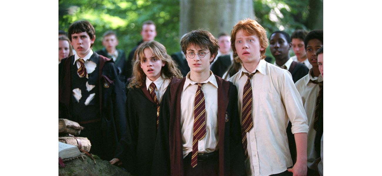 Actress missed out on major Harry Potter role due to unsuccessful audition.