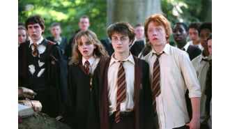 Actress missed out on major Harry Potter role due to unsuccessful audition.