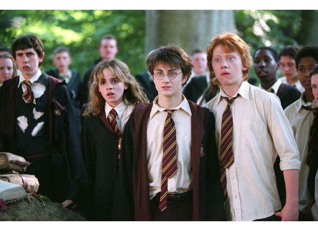 Actress missed out on major Harry Potter role due to unsuccessful audition.