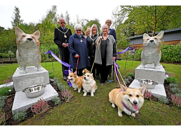 City officials use £35,000 for Corgi statues rather than repairing potholes, causing controversy.