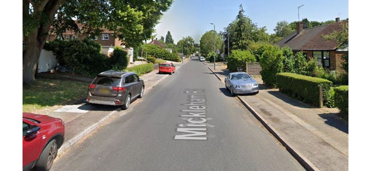 A group of dogs attacked and injured a woman and two young children in a London neighborhood.