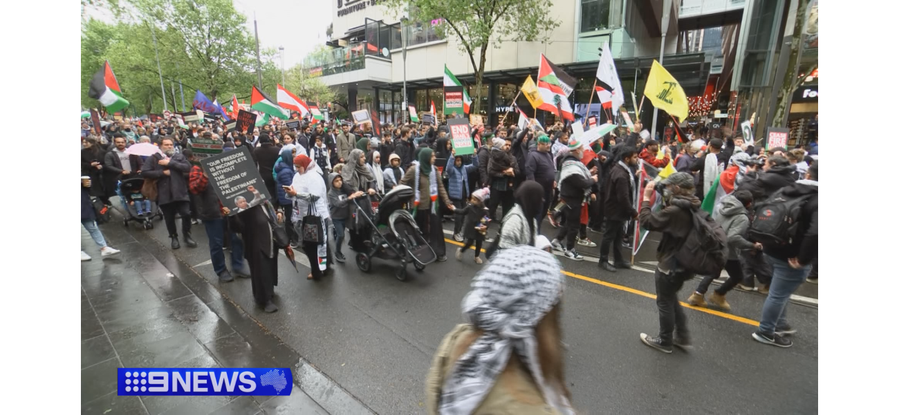 Authorities looking for 7 individuals for showing Hezbollah flags.
