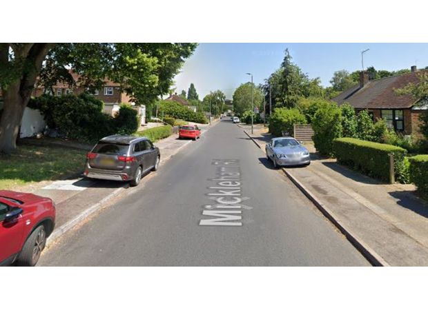 A group of dogs attacked and injured a woman and two young children in a London neighborhood.