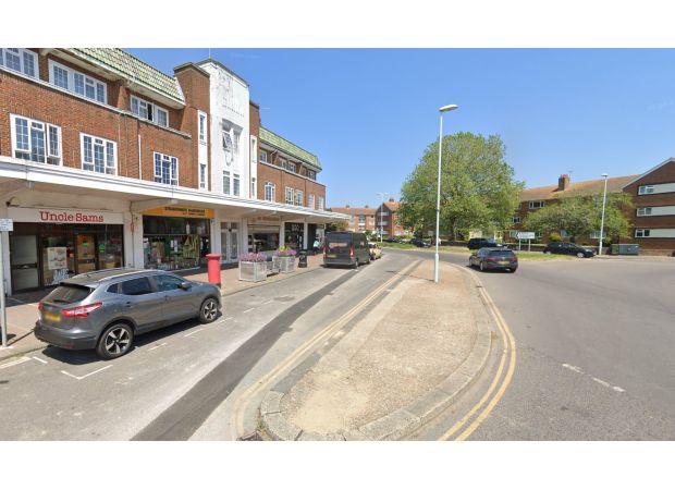 A 6-year-old girl was severely attacked by a Japanese Akita dog that was deemed to be dangerously uncontrollable.