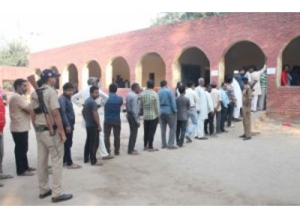 More than 60% voter turnout in Haryana state elections