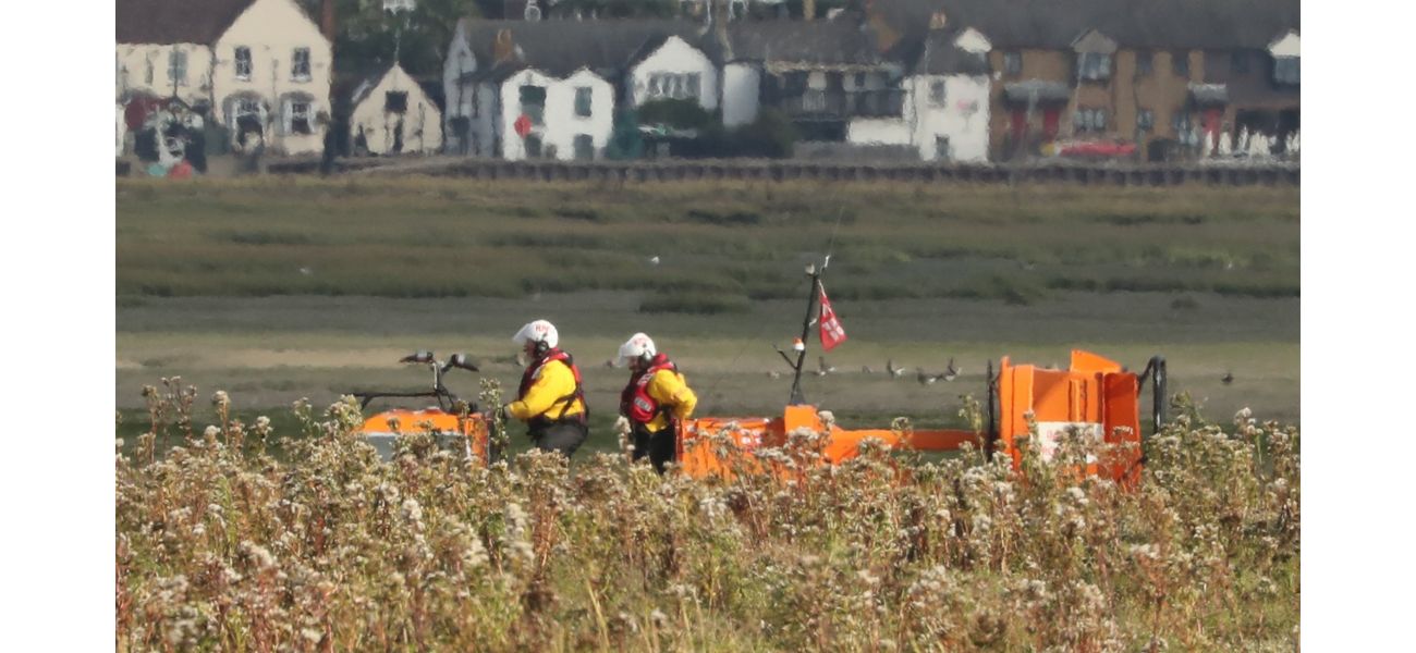 A whale stuck in the River Thames was killed because it couldn't be rescued.