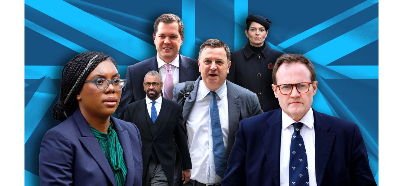 The Tories are potential candidates for the next leader of the Conservative party.