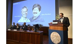 Two Americans awarded Nobel Prize in medicine for finding microRNA.