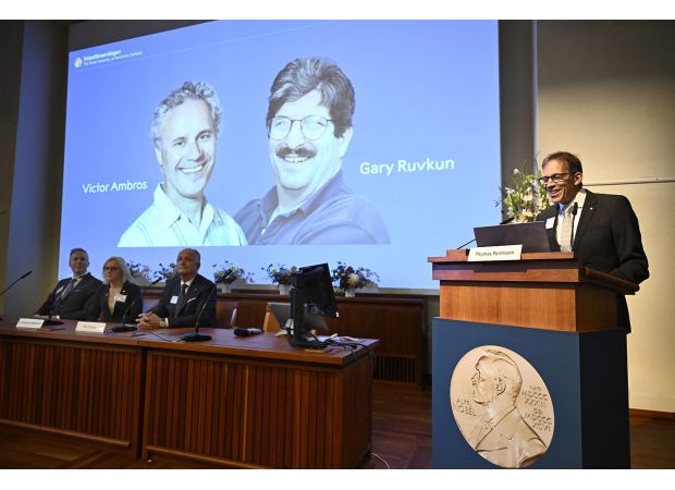 Two Americans awarded Nobel Prize in medicine for finding microRNA.