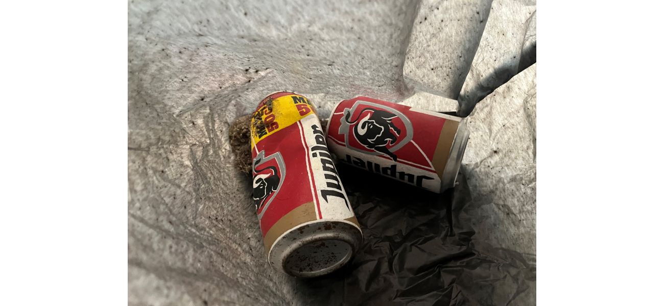 Staff threw away artwork made from beer cans because it was so well done.