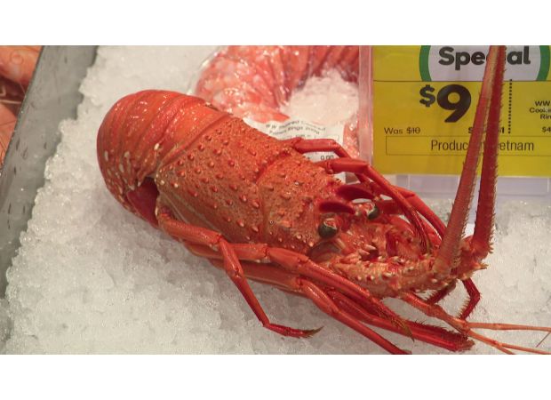 China and the Prime Minister have reached an agreement to restart the profitable export of lobsters.