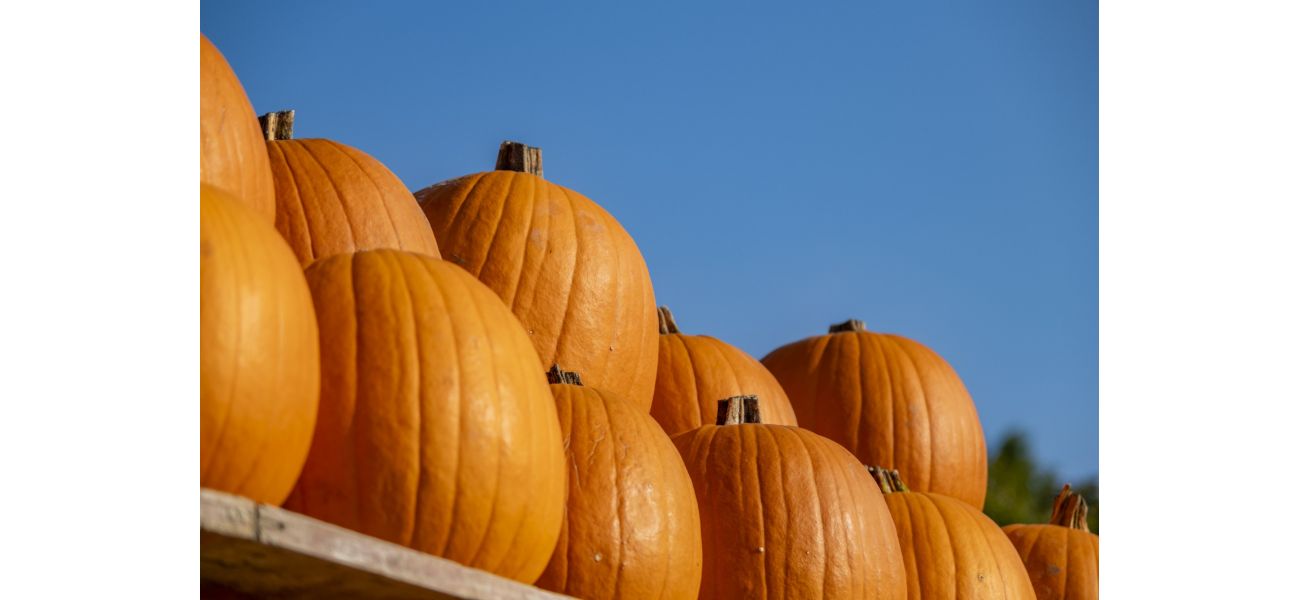 Lucky man wins big on lottery thanks to pumpkin.