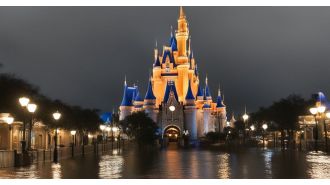 False images of flooded Disney World circulated by Russia following Hurricane Milton.