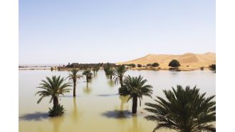 Sahara desert experiences first flood in 50 years, captured in rare photo.