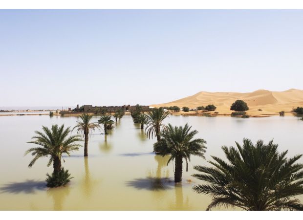 Sahara desert experiences first flood in 50 years, captured in rare photo.