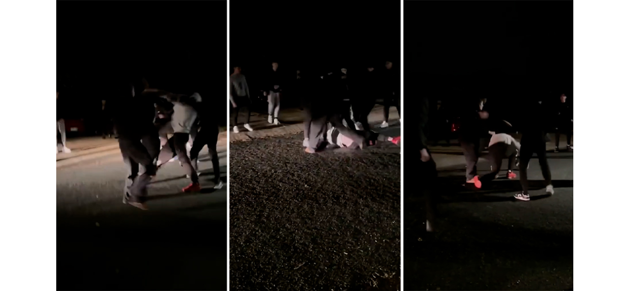 Police want help finding people who saw fight at rowdy party