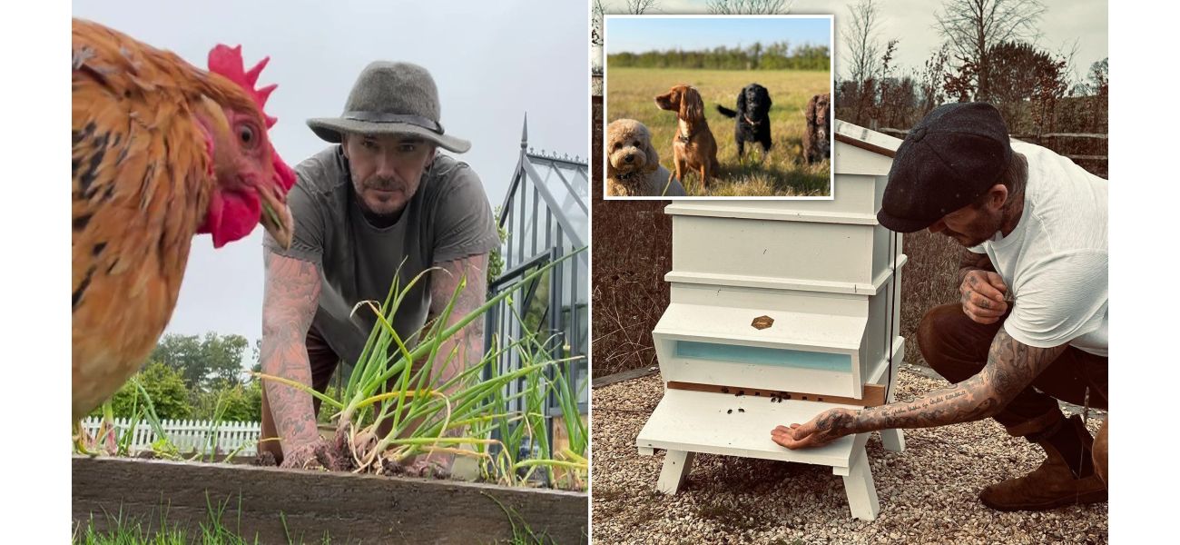 Former soccer star David Beckham has transitioned into a peaceful life as a farmer, leaving his wife Victoria wanting more.
