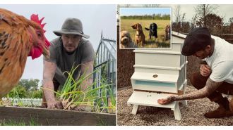 Former soccer star David Beckham has transitioned into a peaceful life as a farmer, leaving his wife Victoria wanting more.