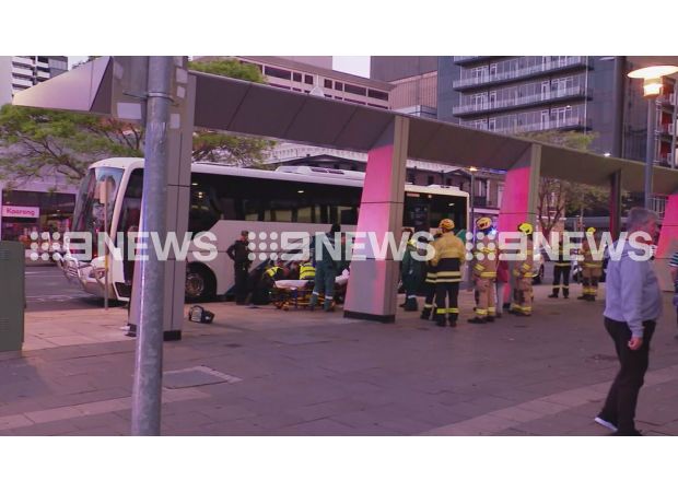 Person reportedly attacks three cops and dog during bus boarding.