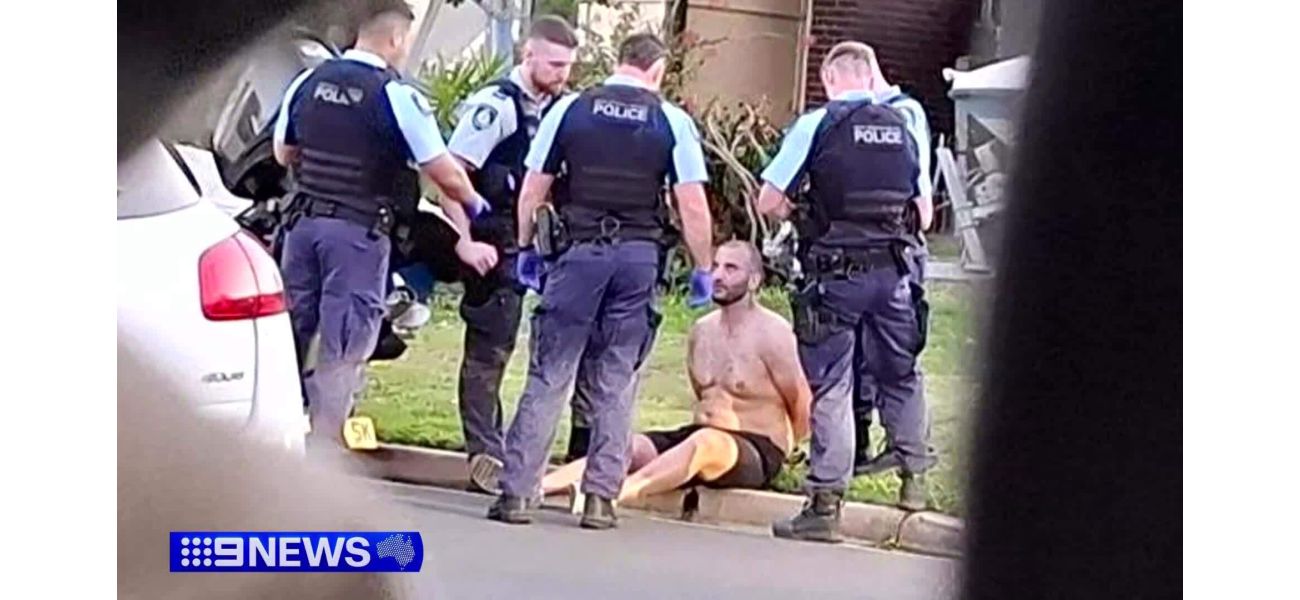 Alleged wild pursuit leads to arrest of man who says he is NRL player's sibling.