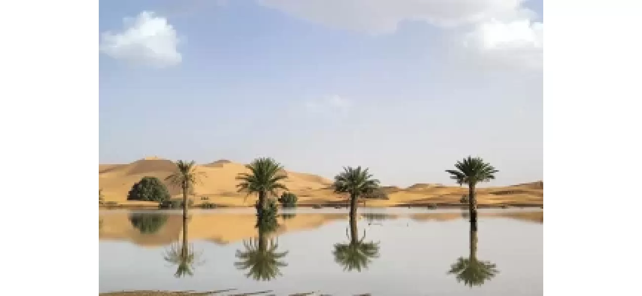 Water pouring through sandy dunes in the Sahara desert after a rare rainstorm.