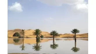 Water pouring through sandy dunes in the Sahara desert after a rare rainstorm.