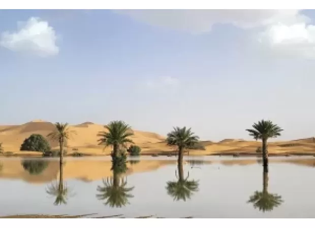 Water pouring through sandy dunes in the Sahara desert after a rare rainstorm.