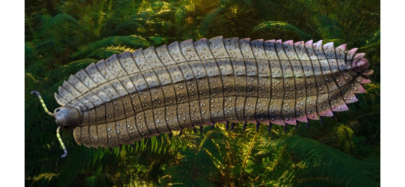 Researchers discover giant bug that lived on Earth over 300 million years ago and was the size of a car.