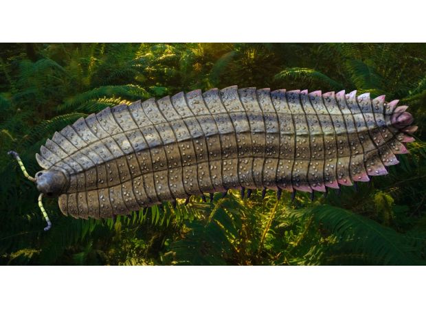 Researchers discover giant bug that lived on Earth over 300 million years ago and was the size of a car.