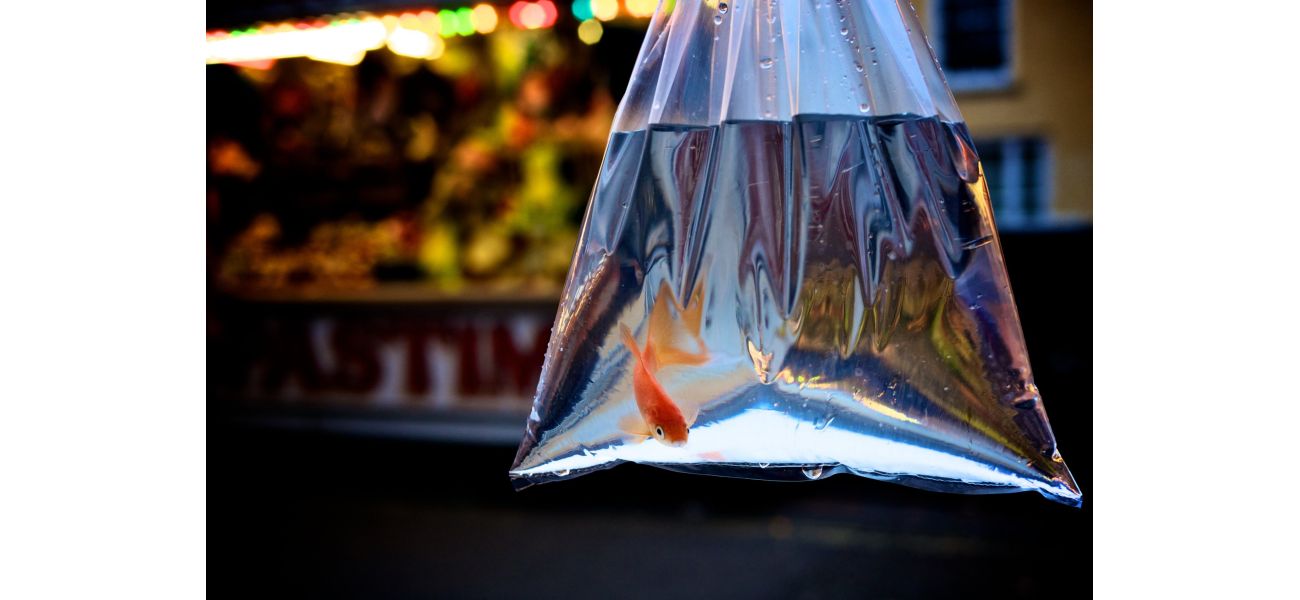 City council prohibits fairgrounds from using goldfish as prizes for games and activities.