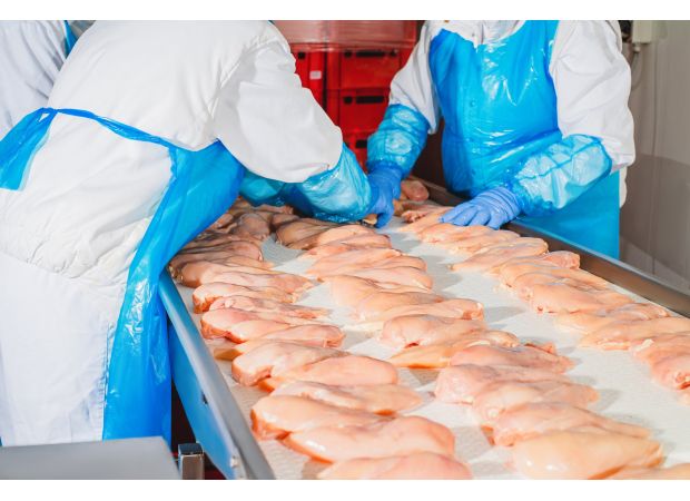 Over 9 million pounds of meat pulled from frozen meals and salads due to recall.