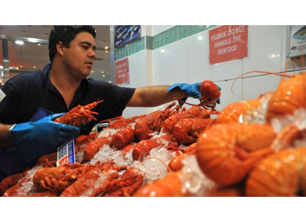 Rock lobster exports to China resuming could impact Australian prices.