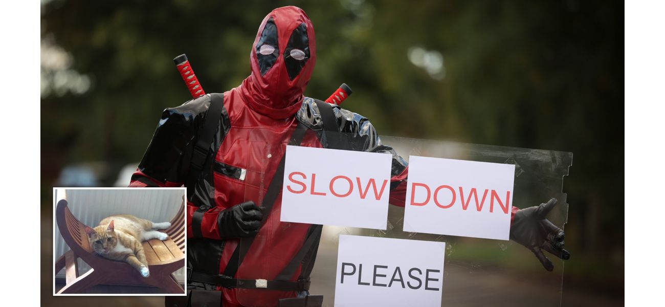 A man wearing a Deadpool costume cautions drivers to slow down after his cat was hit and killed.