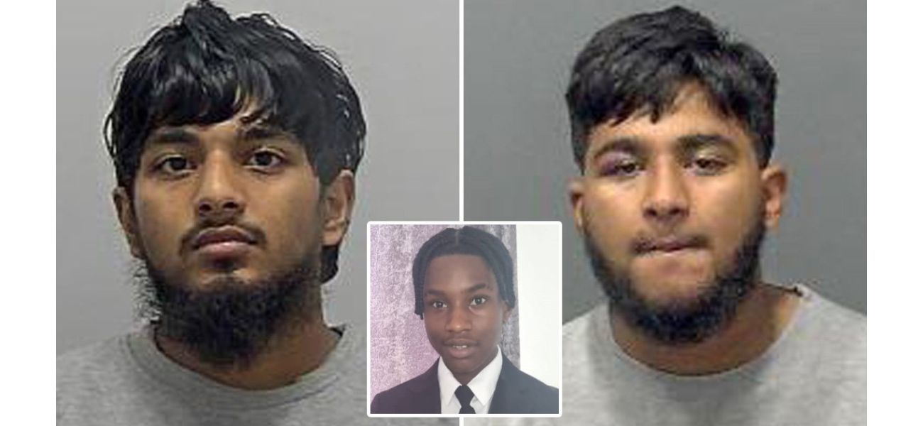 Two twin brothers were imprisoned for stabbing a teenager during a fight after school in a senseless attack.