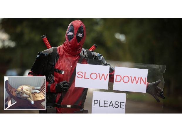 A man wearing a Deadpool costume cautions drivers to slow down after his cat was hit and killed.