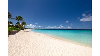 AI is responsible for 20% of the income generated by a small island in the Caribbean.