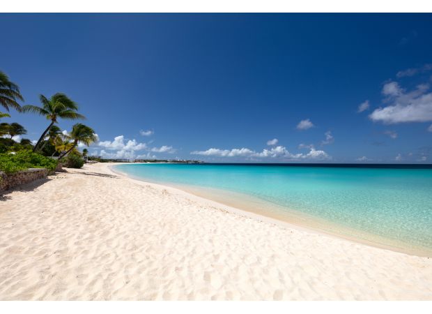 AI is responsible for 20% of the income generated by a small island in the Caribbean.