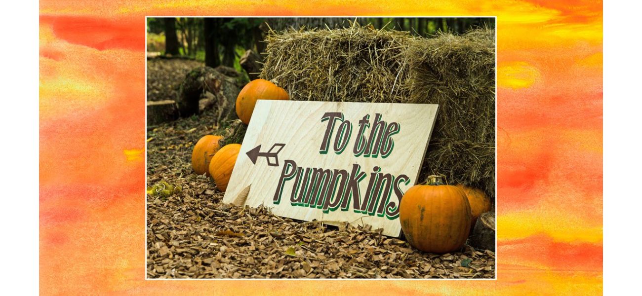 Pumpkin picking is a newly recognized activity.