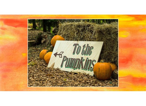 Pumpkin picking is a newly recognized activity.