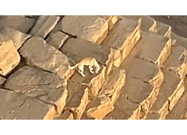 Paraglider finds amazing surprise on top of Great Pyramid during flight.