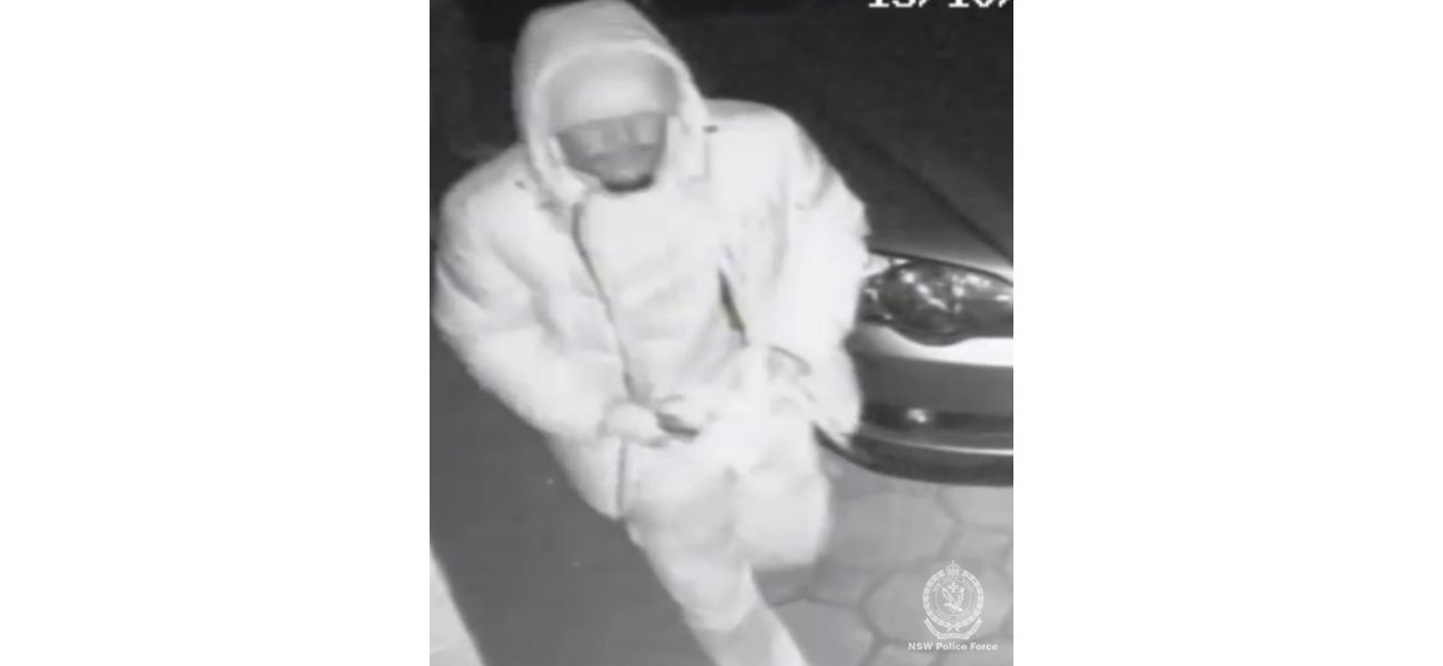 CCTV footage captures two men breaking into a Sydney home.