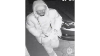 CCTV footage captures two men breaking into a Sydney home.