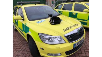A cat was spared from being kicked out after 60,000 individuals signed a petition to support the feline.