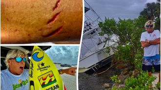 After surviving a shark attack and hurricane in just two weeks, a surfer is back in the water.