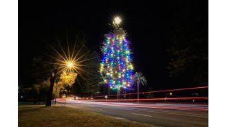 Perth's cherished Christmas tradition at risk due to local politician's actions.