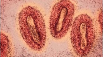 Victoria officials concerned about rise in mpox cases, urge public to take precautions